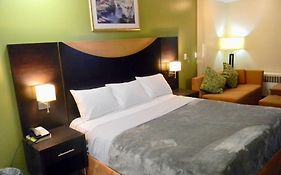 American Plaza Motel